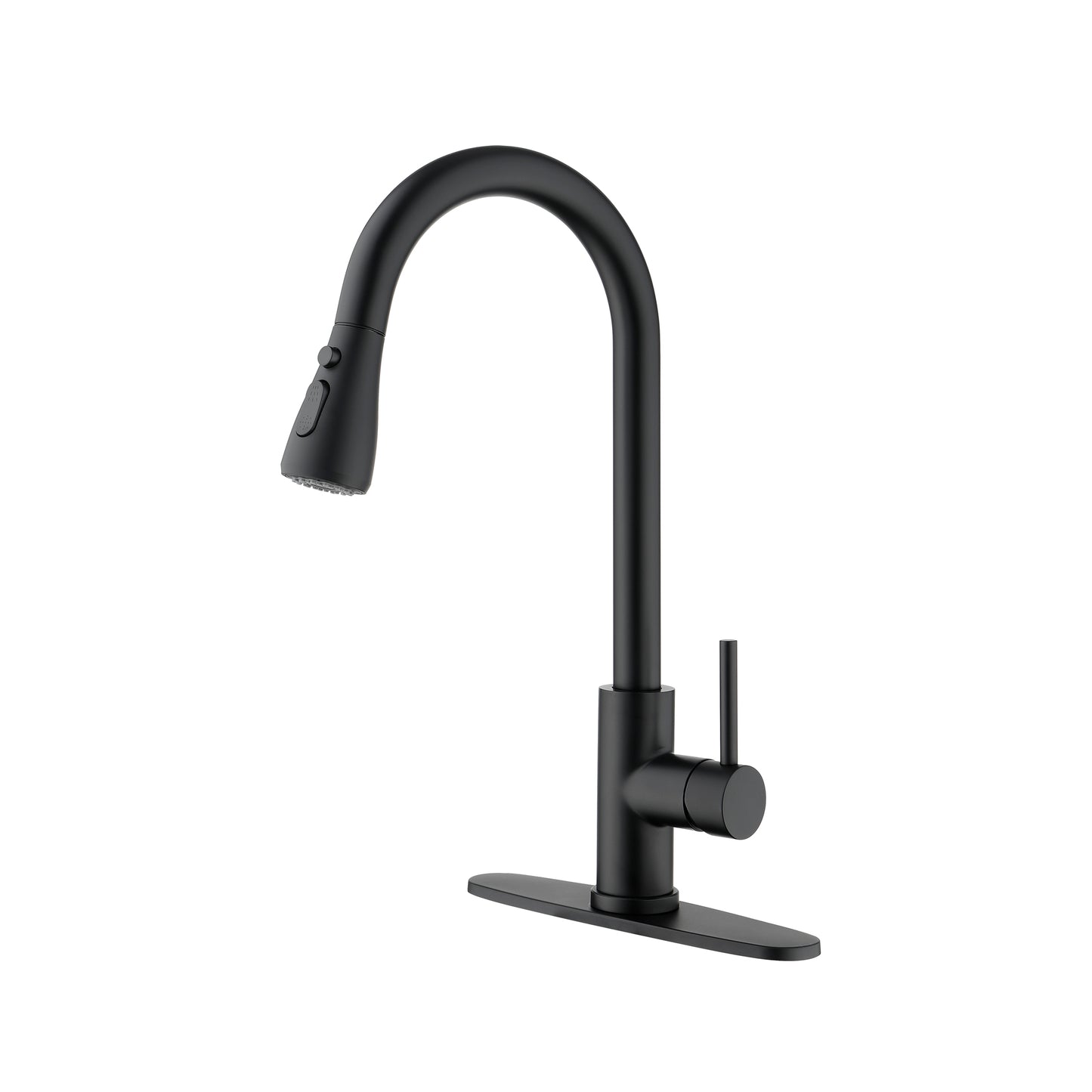 Black Kitchen Faucet