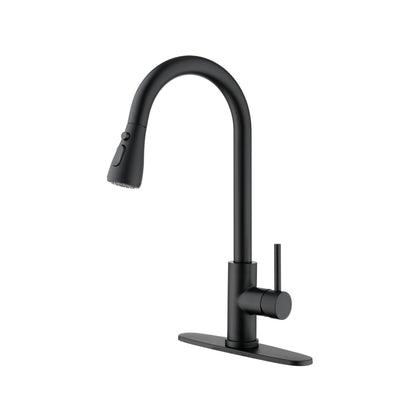 Black Kitchen Faucet