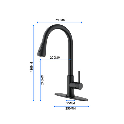 Black Kitchen Faucet