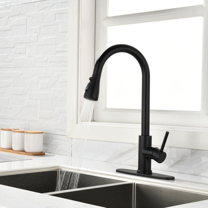 Black Kitchen Faucet