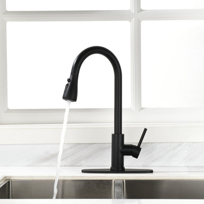 Black Kitchen Faucet