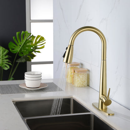 Gold Kitchen Faucet
