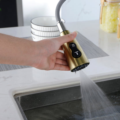 Gold Kitchen Faucet